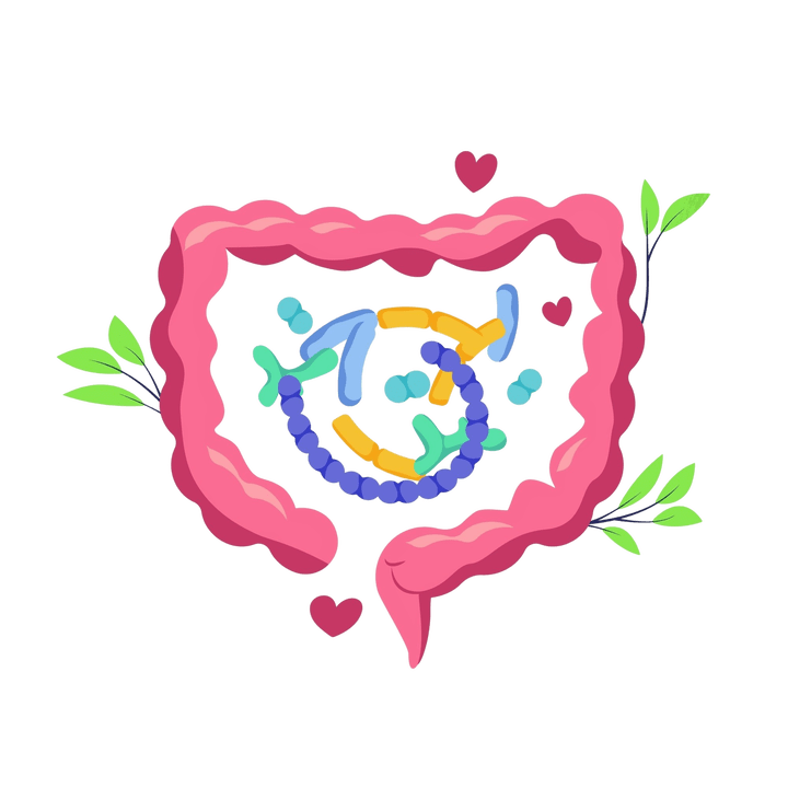 Gesunde und parasitenfreie Verdauung