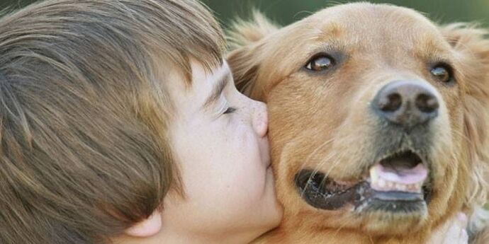 Der Junge bekommt vom Hund Parasiten